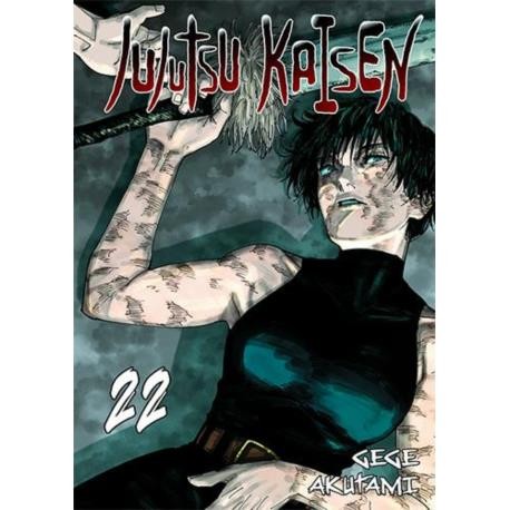 jujutsu-kaisen-22.jpg