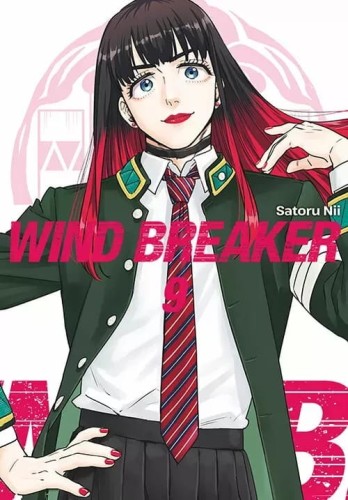 wind-breaker-09.jpg