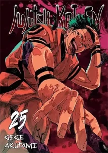 JUJUTSU KAISEN 25 WANEKO 