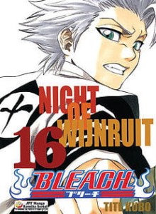 Bleach 16