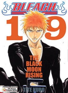 Bleach 19