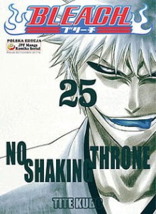 Bleach 25