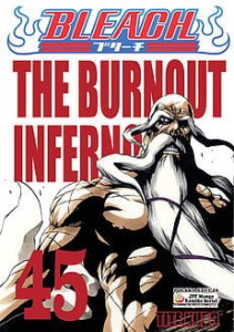 Bleach 45