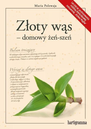 Złoty wąs - domowy żeń-szeń, Maria Polewaja