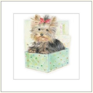 KARNET 16X16CM + KOPERTA PIES RYSOWANY