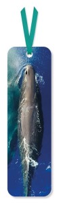 ZAKŁADKA DO KSIĄŻKI SPERM WHALE