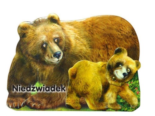 Niedźwiadek LIWONA, Rafał Wejner
