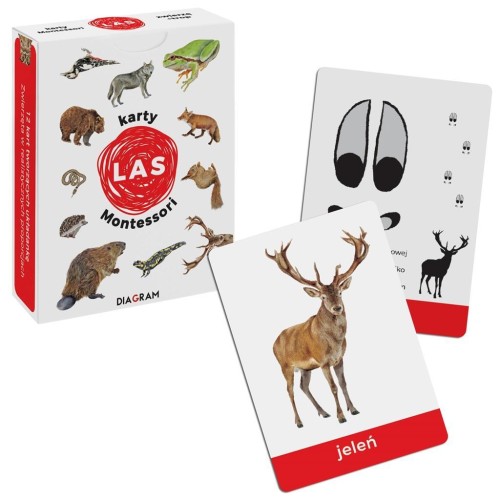 Karty Montessori. Las, Maja Dusik