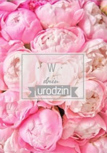 KARTKA OKOLICZNOŚCIOWA URODZINY TS97