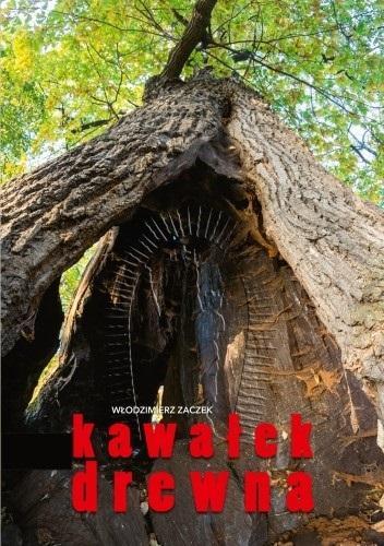 Kawałek drewna, Włodzimierz Zaczek
