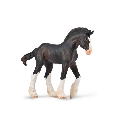 Źrebię Clydesdale maści czarnej, Collecta