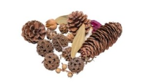 SUSZ DEKORACYJNY 30G