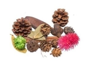 SUSZ DEKORACYJNY 30G