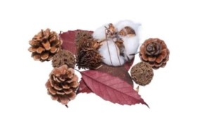 SUSZ DEKORACYJNY 30G