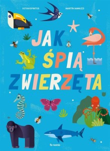 JAK ŚPIĄ ZWIERZĘTA