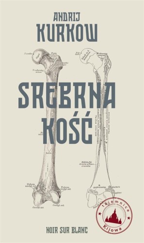 Srebrna kość. Tajemnice Kijowa, Andrij Kurkow