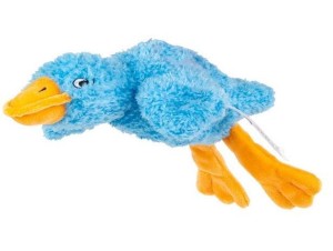 SENSORYCZNA GĘŚ NIEBIESKA, BALIBAZOO