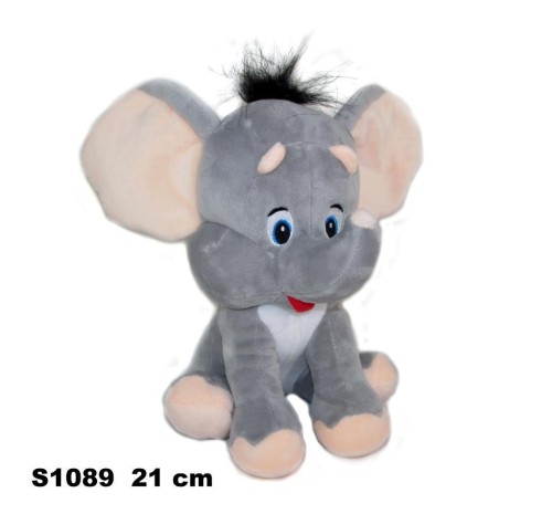 Słoń 21cm, Sun-Day