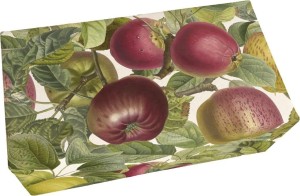 MYDŁO 200G ZAPACH JABŁKOWY JABŁOŃ, SKONA TING