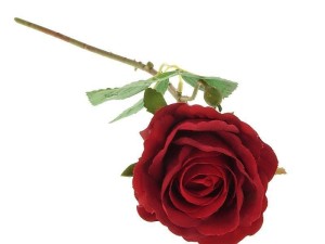 RÓŻA PIANKOWA 52CM