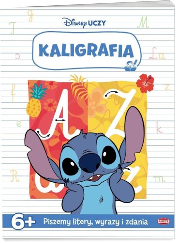Stich. Kaligrafia, praca zbiorowa