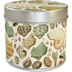 ZAPACHOWA ŚWIECZKA MUSZLE - ZAPACH BRZOSKWINIOWY