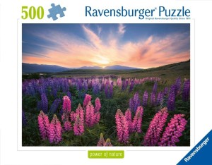 PUZZLE 2D: ŁĄKA 500EL, RAVENSBURGER