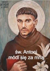 MAGNES NA LODÓWKĘ - ŚW. ANTONI PADEWSKI, PETRUS