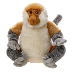 NOSACZ SUNDAJSKI 23CM, BEPPE