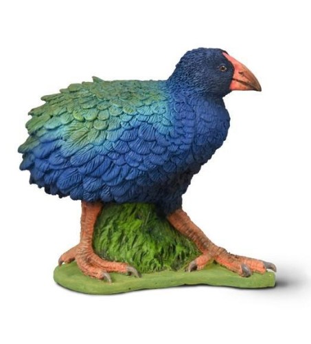 Takahe południowy, Collecta