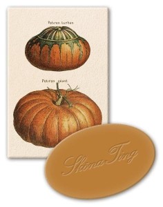 MYDEŁKO OZDOBNE STTVAL642 ZAPACH POMARAŃCZOWY