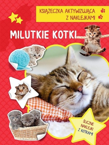 Książeczka aktywizująca naklejki. Milutkie kotki