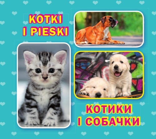 Kotki i pieski, praca zbiorowa