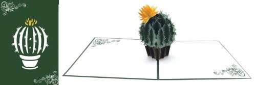 Karnet 12x18cm + koperta POP-UP Kaktus