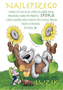 KARNET HAPPY B6 + KOPERTA WZÓR NR 15