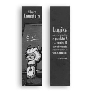 ZAKŁADKA KARTONOWA - LOGIKA, MOLOM