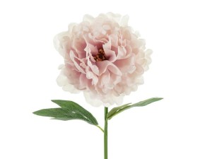 PIWONIA RÓŻOWA 35CM