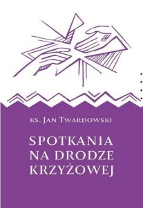 SPOTKANIA NA DRODZE KRZYŻOWEJ, JAN TWARDOWSKI