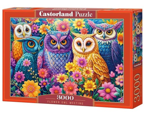 Puzzle 3000 Flower Owl Meeting CASTOR, Castorland