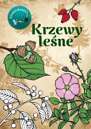 Krzewy leśne kolorowanka, Katarzyna Kopiec Sekieta