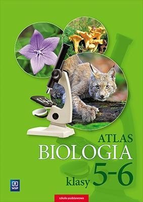 Atlas SP 5-6 Biologia WSiP, Anna Michalik