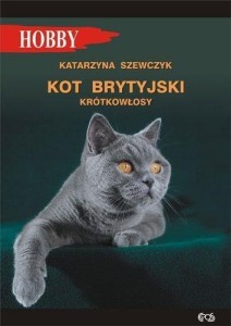 KOT BRYTYJSKI KRÓTKOWŁOSY W.4, KATARZYNA SZEWCZYK