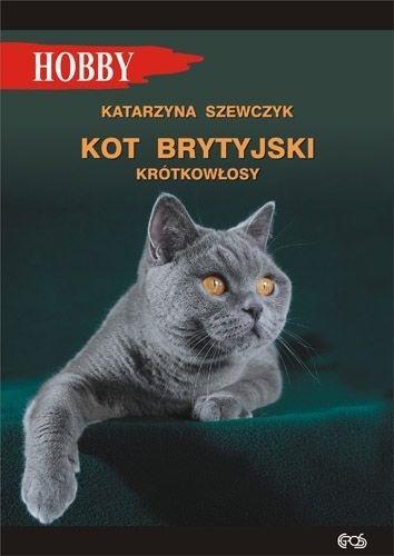 Kot brytyjski krótkowłosy w.4, Katarzyna Szewczyk