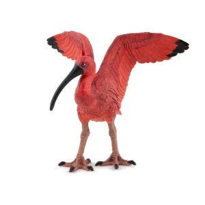 IBIS SZKARŁATNY, PAPO