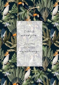 KARTKA OKOLICZNOŚCIOWA URODZINY TG05