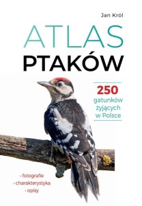 ATLAS PTAKÓW, JAN KRÓL