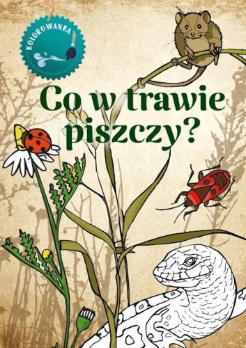 Kolorowanka. Co w trawie piszczy?