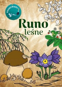 KOLOROWANKA. RUNO LEŚNE, KATARZYNA KOPIEC SEKIETA