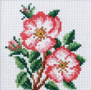 HAFT KRZYŻYKOWY - DZIKA RÓŻA, ANEX-BIS