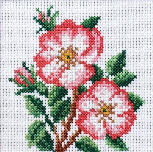 Haft krzyżykowy - Dzika róża, Anex-bis